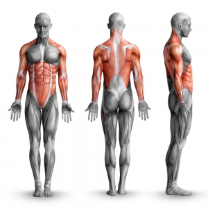 Спортивний турнік WCG MC40 Червоно-сірий