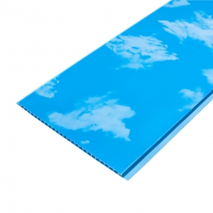 Панель ПВХ пластикова вагонка для стін та стелі Небо ES.07.10 Riko