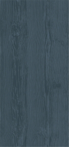 Панель ПВХ пластикова вагонка для стін та стелі EX 07.10 Ліон Graphit Riko