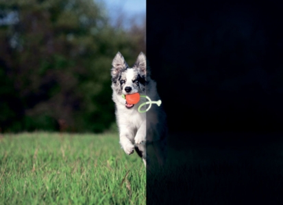 М'ячик Collar ЛАЙКЕР7 Люмі на шнурі д-7 см Оранжевий