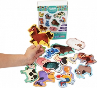 Набір магнітів 